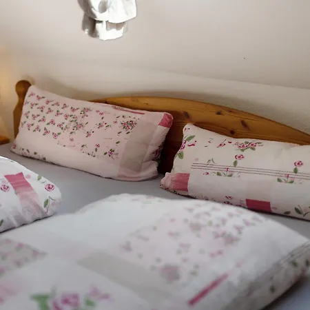 別荘 Muellerleile Hof ハスラッハ・イム・キンツィクタール