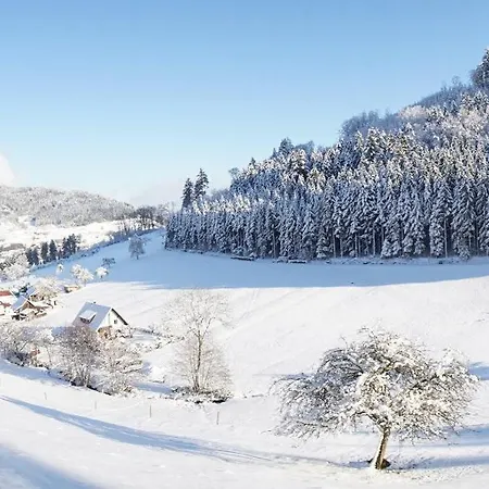 Müllerleile Hof Tatil Evi Haslach im Kinzigtal